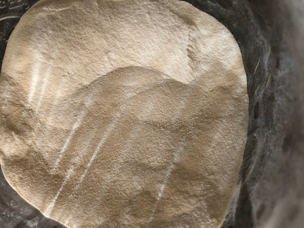 Nutrient supplement broth premix powder for growing cordyceps (USA and Canada only)