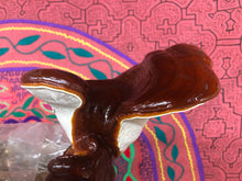 Load image into Gallery viewer, Ganoderma oregonense ‘San Juan Islands’