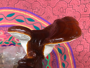 Ganoderma oregonense ‘San Juan Islands’